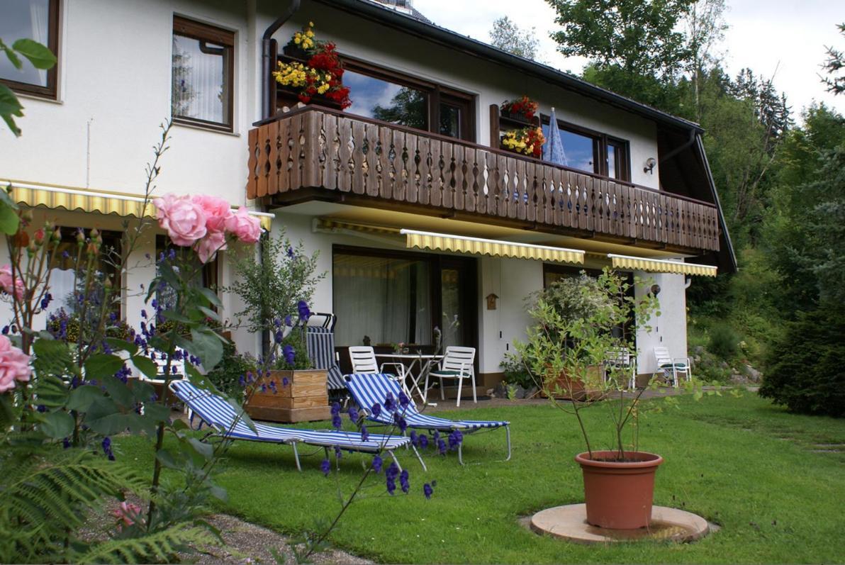 Black Forest Apartments Titisee 외부 사진
