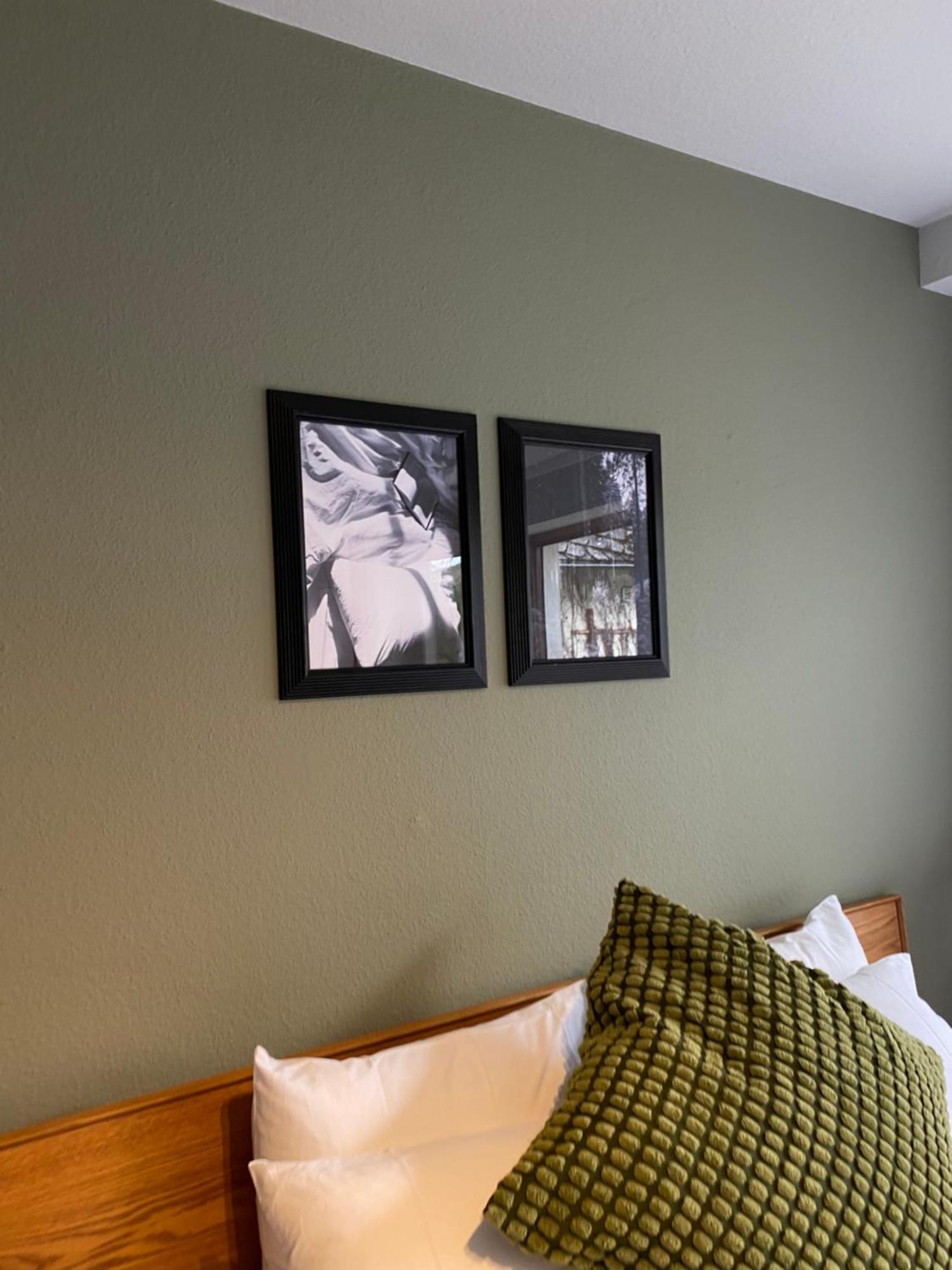 Black Forest Apartments Titisee 외부 사진