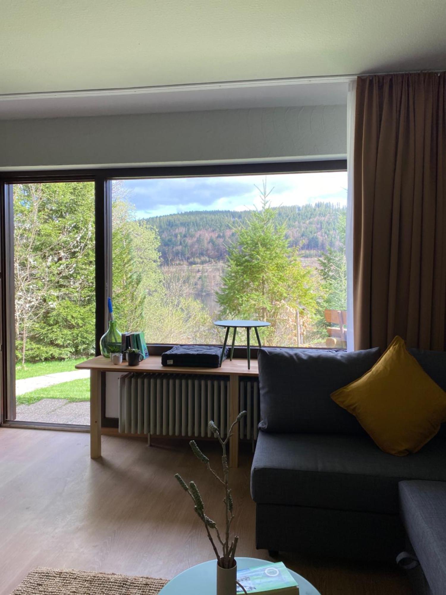 Black Forest Apartments Titisee 외부 사진