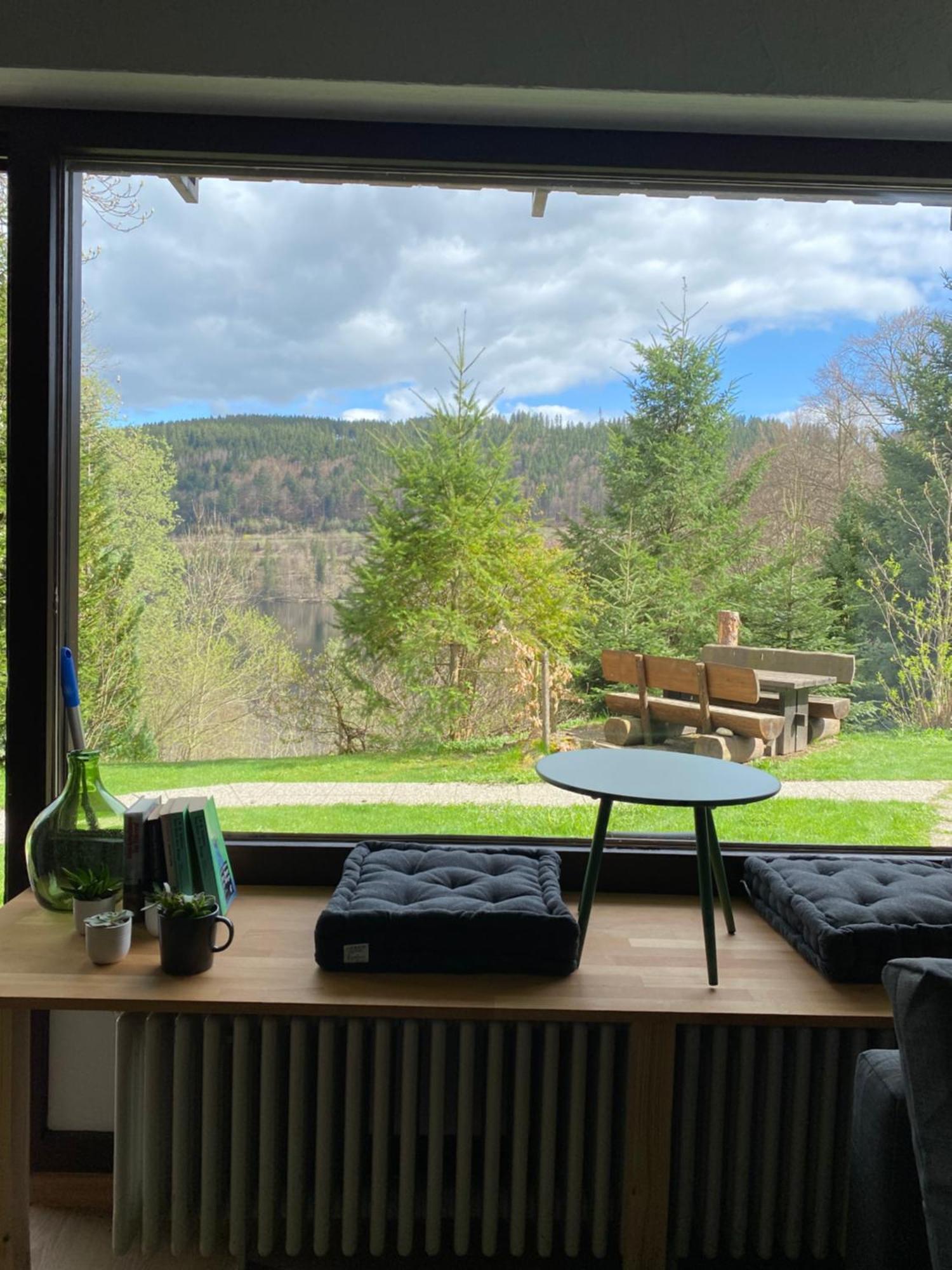 Black Forest Apartments Titisee 외부 사진