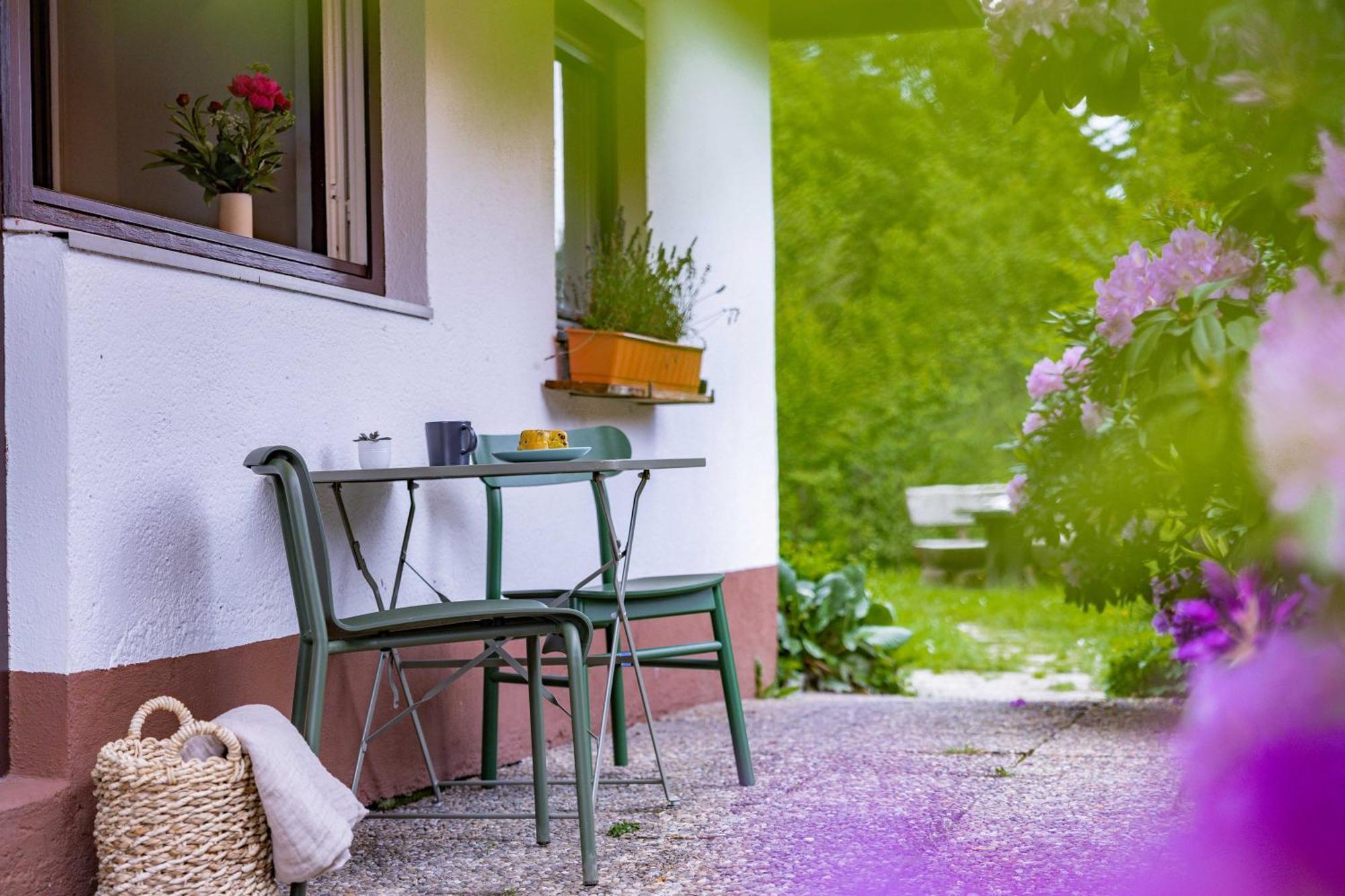 Black Forest Apartments Titisee 외부 사진